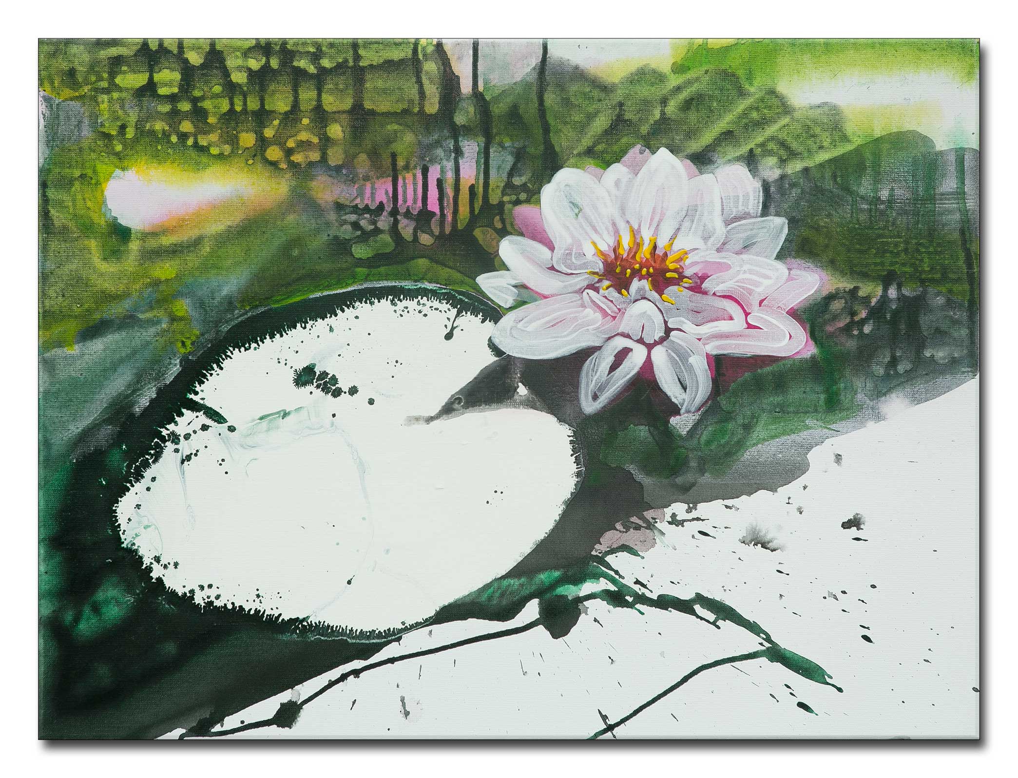 Waterlelie’s geïnspireerd door Monet, Waterlillies inspired by Monet